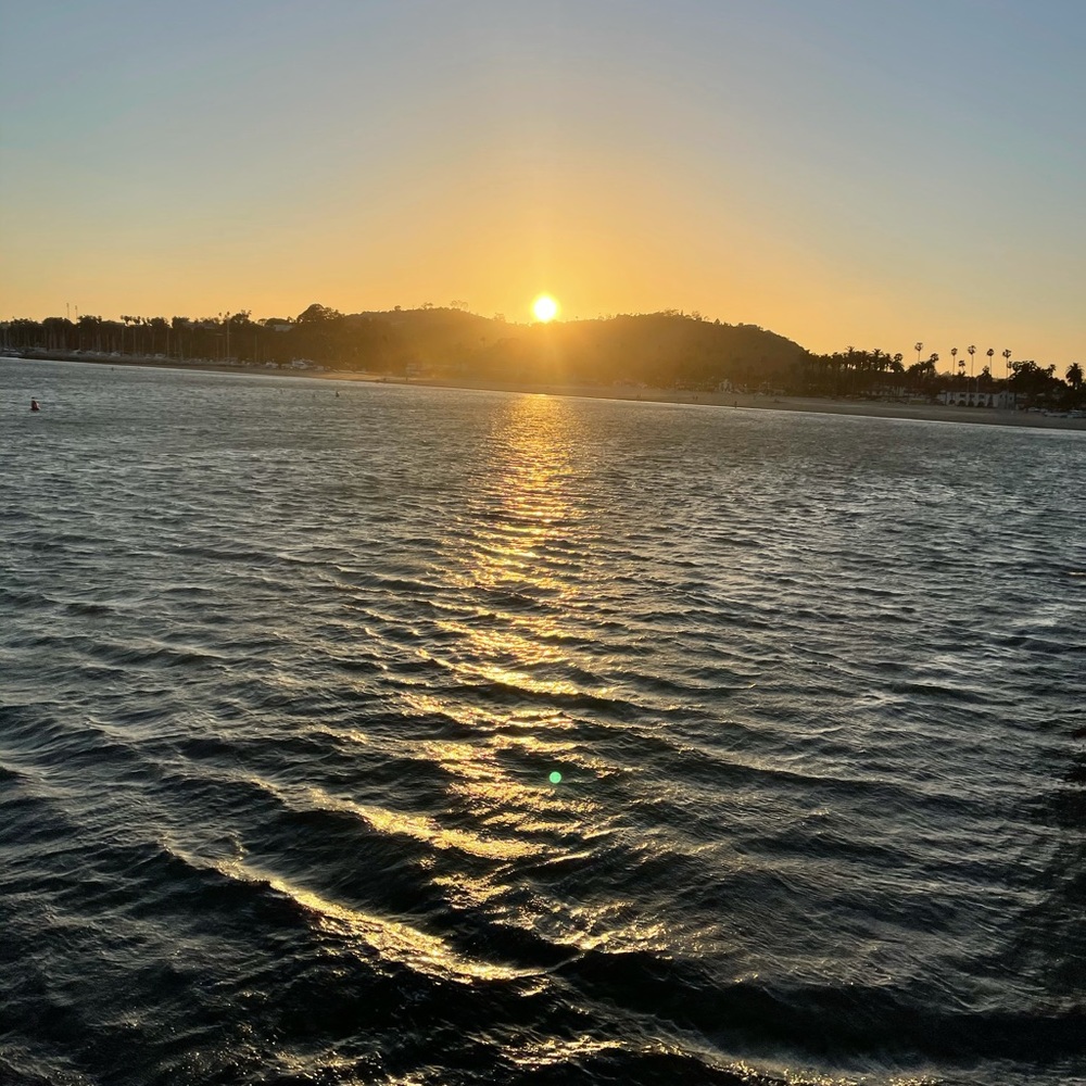 Meet your Posher, Elena